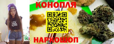 apvp Партизанск